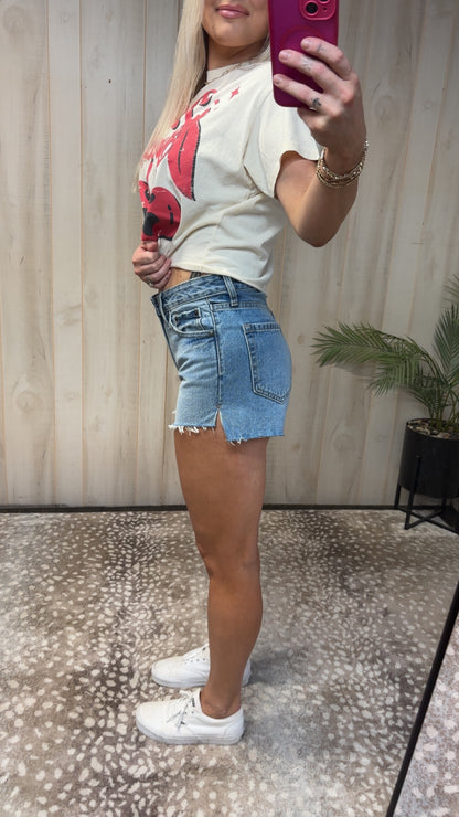 High Rise Denim Shorts